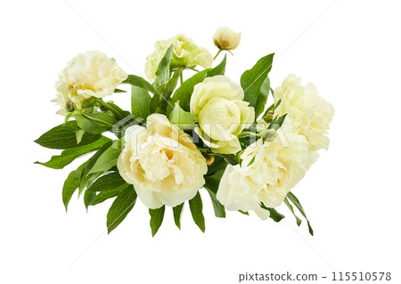 Fresh Peony Bouquet Isolated on White 115510578