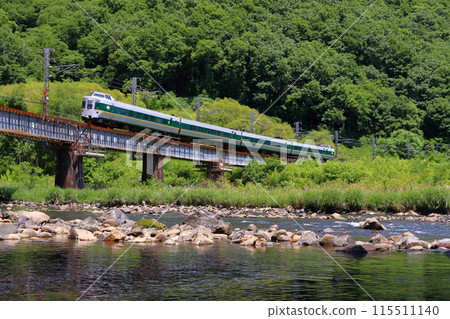 Fresh greenery on the Takahashi River and the Hakubi Line Limited Express Yakumo: 381 Series Train (Okayama ⇔ Izumo City) 115511140