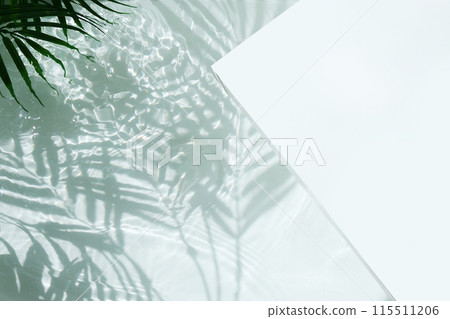 Swimming pool top view background. Water ring and palm shadow Swimming pool top view background. Water ring and palm shadow 115511206