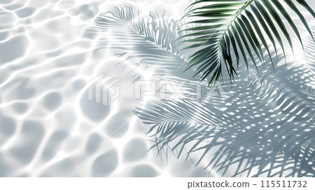 Tropical Palm Leaves Casting Shadows on Water 115511732