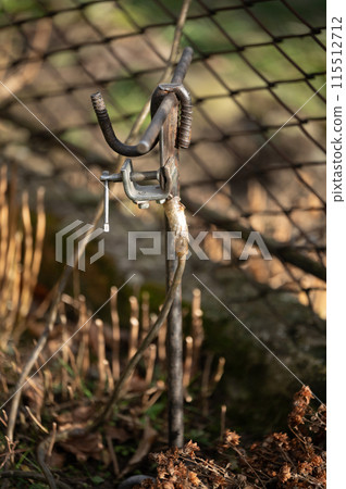 Elementary electrical grounding when working on an electrical transmission line. Elementary electrical grounding when working on an electrical transmission line. 115512712