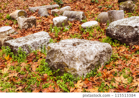 Autumn Leaves and Smooth Stones 115513384