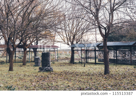 Bare winter trees in a historic outdoor exhibit Bare winter trees in a historic outdoor exhibit 115513387