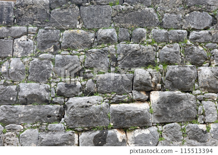 Stone wall with green moss Stone wall with green moss 115513394