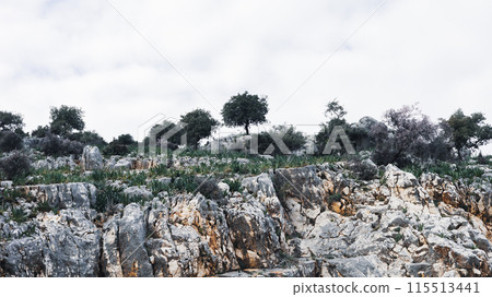 Rugged Mediterranean terrain dotted with vegetation Rugged Mediterranean terrain dotted with vegetation 115513441