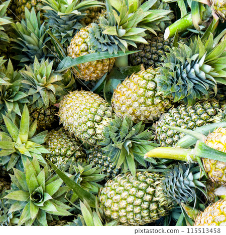 Pineapple background and texture Pineapple background and texture 115513458