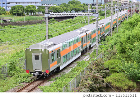 Tokaido Main Line Freight Branch Sakuragicho-Higashi-Takashima JR Freight DD200-4 (Aichi) + E233 Series 0 Green Car 115513511