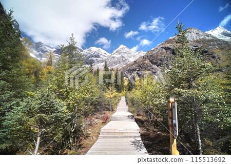 The Autumn in Siguniang Mountain at west of the capital city of Chengdu in Xiaojin country ,Sichuan ,China 115513692