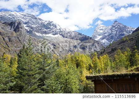 The Autumn in Siguniang Mountain at west of the capital city of Chengdu in Xiaojin country ,Sichuan ,China 115513696