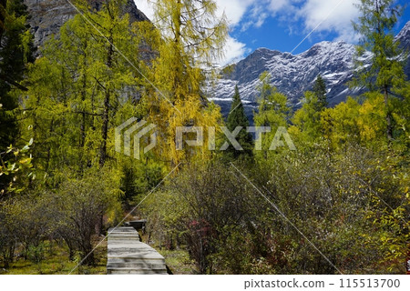The Autumn in Siguniang Mountain at west of the capital city of Chengdu in Xiaojin country ,Sichuan ,China 115513700