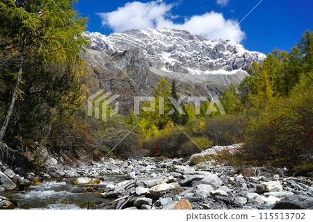 The Autumn in Siguniang Mountain at west of the capital city of Chengdu in Xiaojin country ,Sichuan ,China 115513702