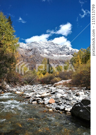 The Autumn in Siguniang Mountain at west of the capital city of Chengdu in Xiaojin country ,Sichuan ,China  115513799