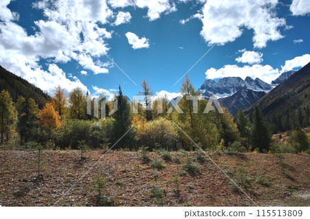 The Autumn in Siguniang Mountain at west of the capital city of Chengdu in Xiaojin country ,Sichuan ,China  115513809