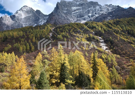 The Autumn in Siguniang Mountain at west of the capital city of Chengdu in Xiaojin country ,Sichuan ,China  115513810