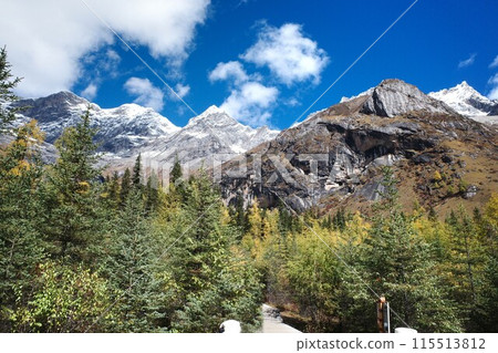 The Autumn in Siguniang Mountain at west of the capital city of Chengdu in Xiaojin country ,Sichuan ,China  115513812