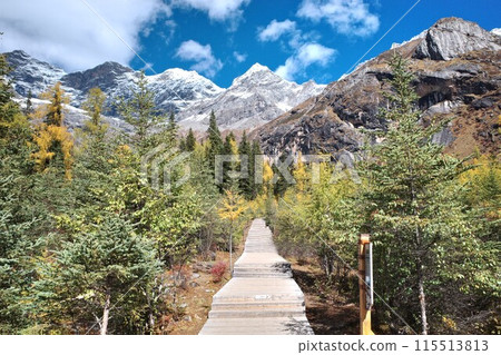 The Autumn in Siguniang Mountain at west of the capital city of Chengdu in Xiaojin country ,Sichuan ,China  115513813