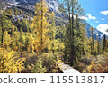 The Autumn in Siguniang Mountain at west of the capital city of Chengdu in Xiaojin country ,Sichuan ,China  115513817