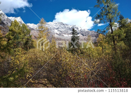 The Autumn in Siguniang Mountain at west of the capital city of Chengdu in Xiaojin country ,Sichuan ,China  115513818