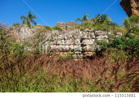 sandstone geological monuments, or Arenitos, in Vila Velha State Park. Ponta Grossa, Parana, Brazil sandstone geological monuments, or Arenitos, in Vila Velha State Park. Ponta Grossa, Parana, Brazil 115513881