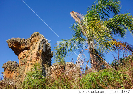 sandstone geological monuments, or Arenitos, in Vila Velha State Park. Ponta Grossa, Parana, Brazil sandstone geological monuments, or Arenitos, in Vila Velha State Park. Ponta Grossa, Parana, Brazil 115513887