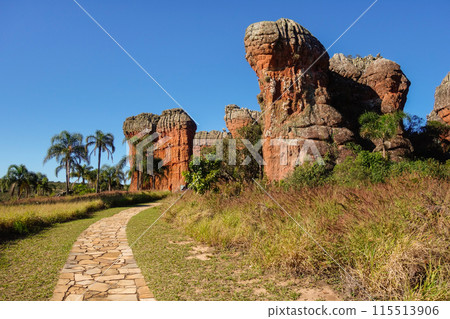 sandstone geological monuments, or Arenitos, in Vila Velha State Park. Ponta Grossa, Parana, Brazil 115513906