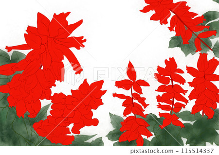 丹參花卡4 丹參花卡4 115514337