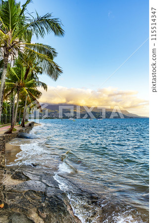Sidewalk in front of the sea in Ilhabela Sidewalk in front of the sea in Ilhabela 115514347