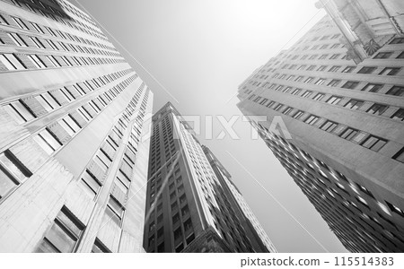 Looking up at New York City skyscrapers against the sun, USA. 115514383