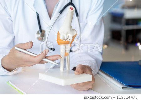 The doctor demonstrated knee joint problems on a model . 115514473