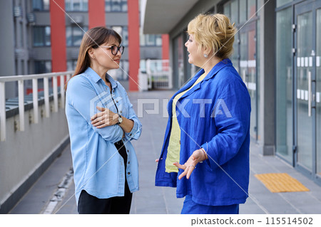Two mature businesswomen talking at meeting, outdoor urban background 115514502