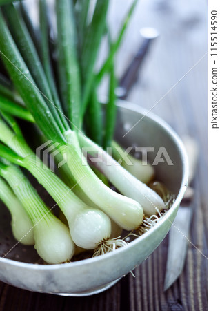 Bunch of white onion with greens placed in a metal colander 115514590