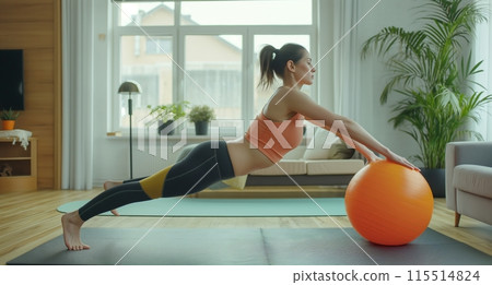 Young Woman Doing Plank Exercise With Ball 115514824