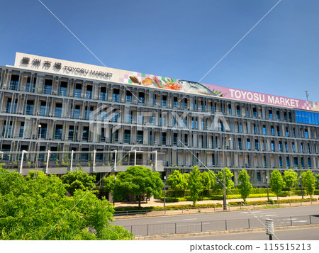 Toyosu Market, Tokyo 115515213