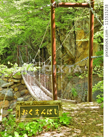 Suspension bridge over the Yonago River on the Yonago Falls Nature Trail Suspension bridge over the Yonago River on the Yonago Falls Nature Trail 115515238