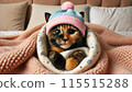 A tortoiseshell cat tucked under a blanket like a baby, wearing a baby's hat. The cat looks cozy and cute, with only its head and front paws peeking 115515288