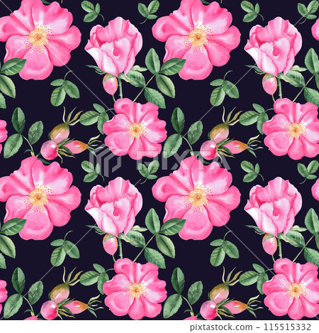 Dog rose Floral Watercolor seamless pattern on black background. Hand drawn botanical illustration. Rose hip flowers, buds, branches and berries. Can be used for fabric, textile, packaging prints Dog rose Floral Watercolor seamless pattern on black background. Hand drawn botanical illustration. Rose hip flowers, buds, branches and berries. Can be used for fabric, textile, packaging prints 115515332