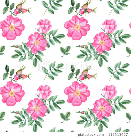 Dog rose Floral Watercolor seamless pattern. Hand drawn botanical illustration. Rose hip flowers, buds, branches and berries. Can be used for fabric, textile, packaging prints, wallpaper design. 115515437