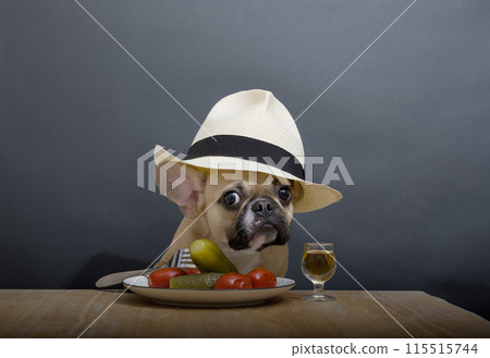Charming bulldog in stylish hat sitting at wooden table with filled shot glass and pickle on fork as appetizer. Charming bulldog in stylish hat sitting at wooden table with filled shot glass and pickle on fork as appetizer. 115515744