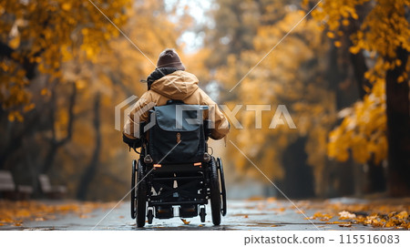 Autumn Stroll in the Park With a Person in a Wheelchair Autumn Stroll in the Park With a Person in a Wheelchair 115516083