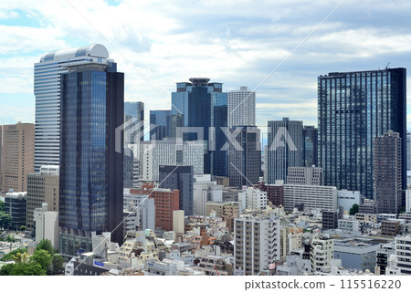 Tokyo Shinjuku: View of Shinjuku Subcenter from Kabukicho Tower 115516220
