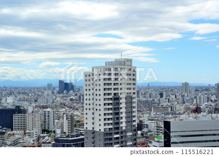 Tokyo Shinjuku: View of Shinjuku Subcenter from Kabukicho Tower 115516221