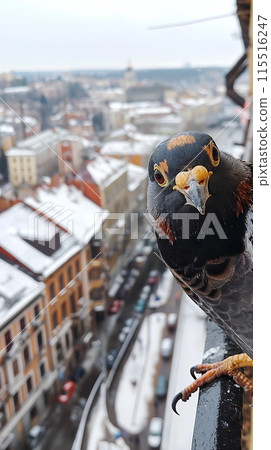 Curious Pigeon Overlooking Snow-Covered Cityscape From a High Vantage Point 115516247