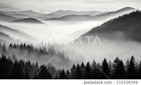 Misty Forest Landscape at Dawn 115516349