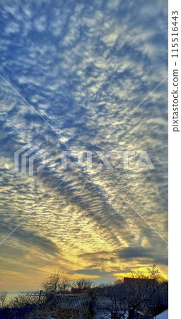 Beautiful blue sunset.The sun illuminates the elongated clouds in yellow. 115516443