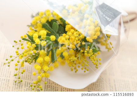 Mimosa flower gift Mimosa flower gift 115516893