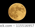 Full moon floating in the night sky 115516957