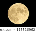 Full moon floating in the night sky 115516962