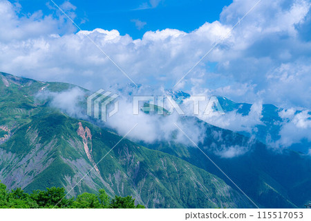 [Mountain material] Sea of clouds and Shirouma Sanzan seen from Mt. Kotomiyama [Nagano Prefecture] 115517053