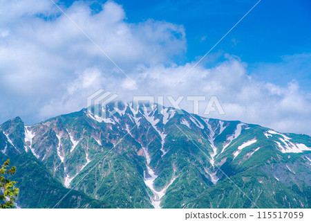 [山素材]從琴宮山看到的雲海和白馬三山【長野縣】 115517059