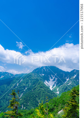 [Mountain material] Sea of clouds and Shirouma Sanzan seen from Mt. Kotomiyama [Nagano Prefecture] 115517068